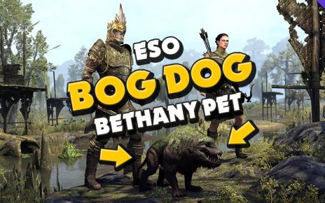 Osiągnięcia darmowy zwierzak Bog Dog Bethany pet, Bramy otchłani, ESO blackwood, The Elder Scrolls Online
